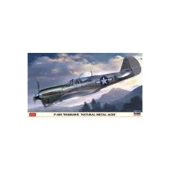 Hasegawa Maquette Avion Maquette D’avion En Plastique P-40N Warhawk ‘Natural Metal Aces’ 1:48