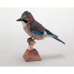 SCHREIBER-BOGEN Maquette Carton Geai